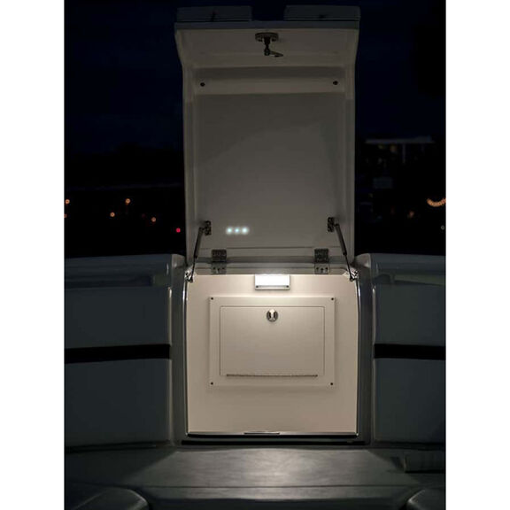 NevisLT Engine Room & Utility Light image number 3