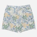 Men's Crew Volley Shorts image number 0