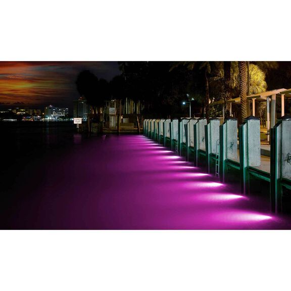 Mantis Dock Lighting System, 2,000 Lumen, RGBW image number 3
