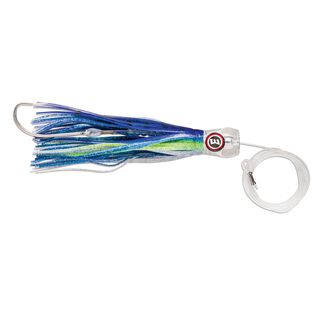 Sailfish Catchers