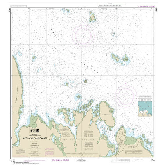 #17401 Lake Bay & Approaches Clarence Strait image number 0