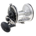 US Senator 113W Casting Reel image number 0