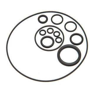 Helm Pump Seal Kit