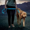 NiteDog&trade; Rechargeable LED Leash image number 8