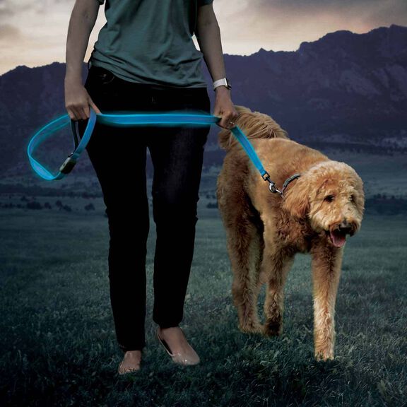 NiteDog&trade; Rechargeable LED Leash image number 8