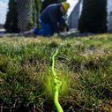 Flexzilla Pro Extension Cord 14/3 AWG 25' image number 5
