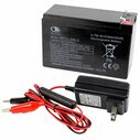 Universal 12V Battery & Charger Kit image number 1