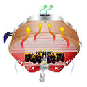 Marine Kettle Charcoal Grill with Hinged Lid, 15" image number 2