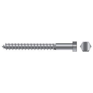 Stainless Steel Socket Lag Screws