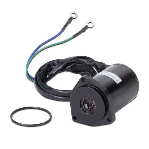 Tilt/Trim Motor, Yamaha image number 0