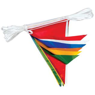 Decorative Pennant String, 50'