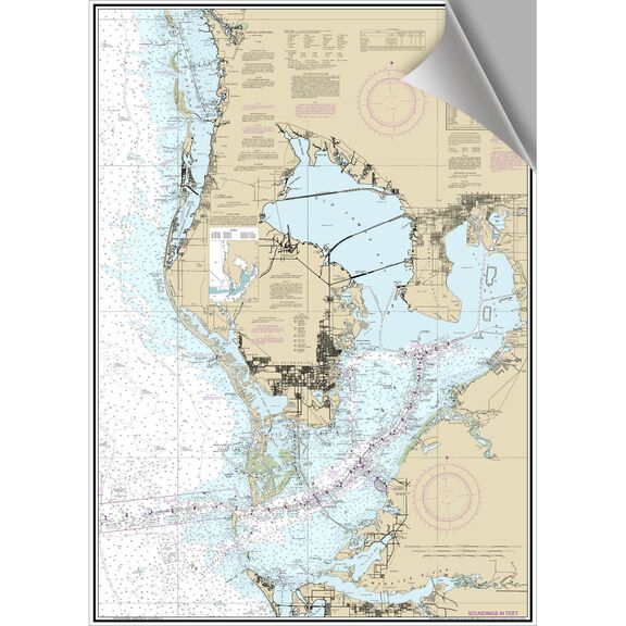 Tampa Bay Decorative Nautical Chart image number 0