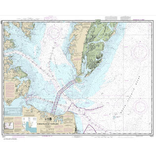 #12221 Chesapeake Bay Entrance