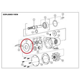 Wear Plate, 777 Series Pumps