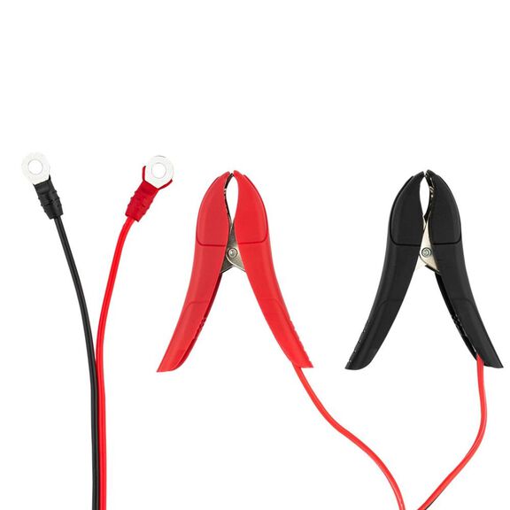 Automatic Smart Lithium and AGM Battery Charger and Maintainer, 6A image number 2