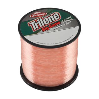 BGQS60C-PCR BG1/4 60LB 235YD PKCORL 4PK