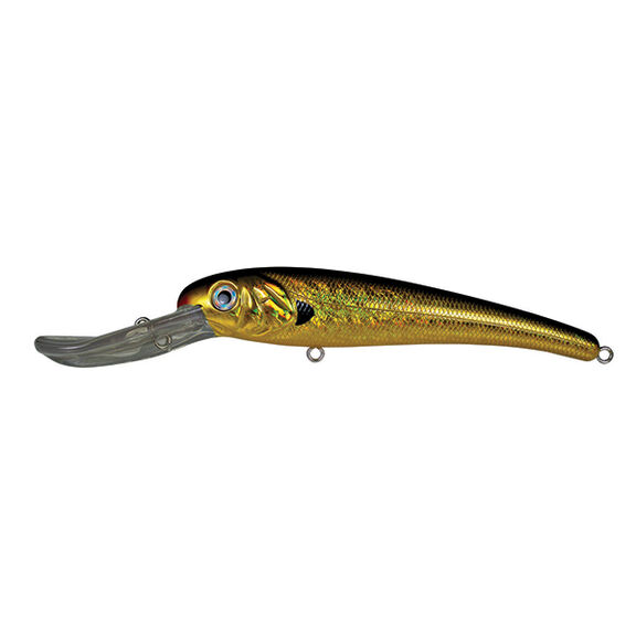 Textured Stretch&trade; 25+ Fishing Lure, 8" image number 0