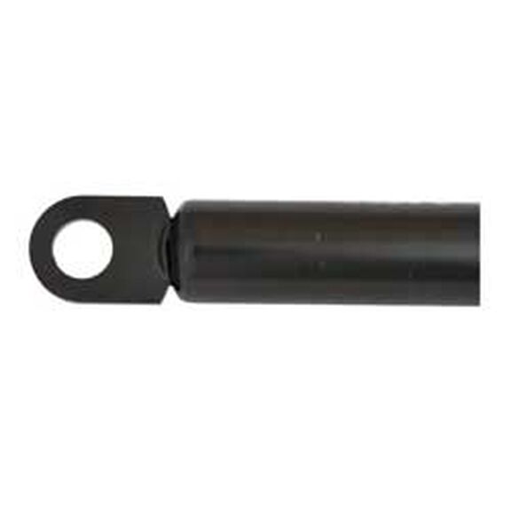 OEM Gas Spring image number 0