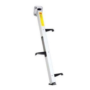 3-Step Compact EEz-In II Transom Mount Ladder