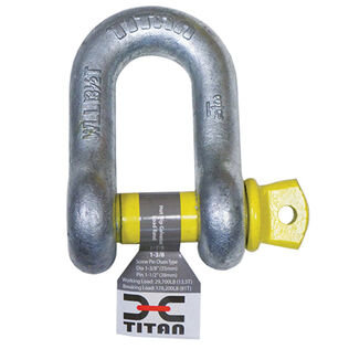 Galvanized &ldquo;D&rdquo; Shackles for Chain