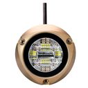 Zambezi X2 Surface Mount Underwater Pontoon Light, 6,000 Lumen, RGBW Spectrum image number 0