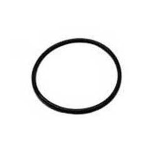Strainer Cap O-Ring for ARG-1500 - 3025