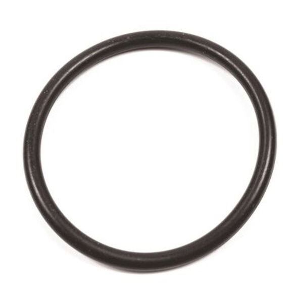 Bennett A1120 Actuator Upper Hinge O-Ring image number 0