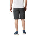 Men's Silver Ridge&trade; Cargo Shorts image number 2