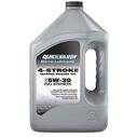 5W-30 Full Synthetic Marine Engine Oil, 1 Gallon image number 0