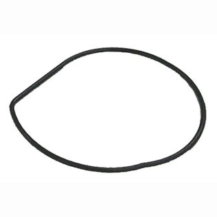 Impeller Housing Seal for V4/V6 Johnson/Evinrude Outboard, 5-Pack