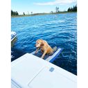 Pup Plank Inflatable Dog Ramp, X-Large image number 2