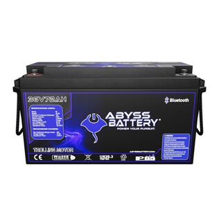 36V 72Ah Lithium Iron Phosphate Group 49 Trolling Motor Battery, Bluetooth Enabled