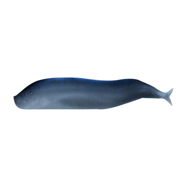 Gulp!&reg; Saltwater Sand Eel image number 0