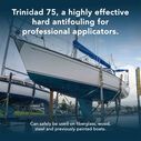 Trinidad 75 Antifouling Paint, Black, Gallon image number 6