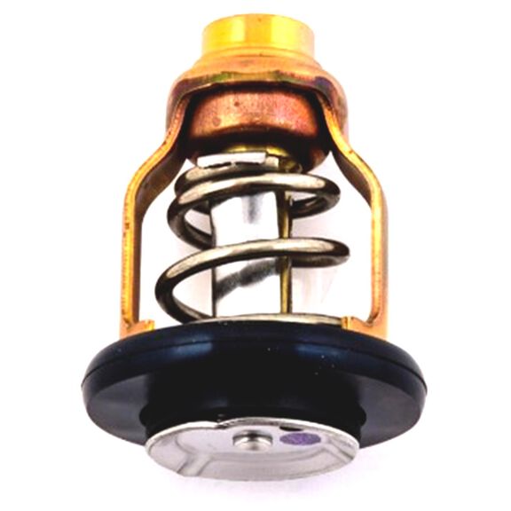 Yamaha 6CE124111000 Thermostat image number 0