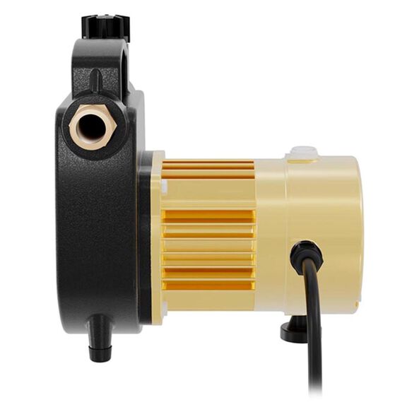 1/2 HP High Capacity Cast Iron Transfer Pump image number 1