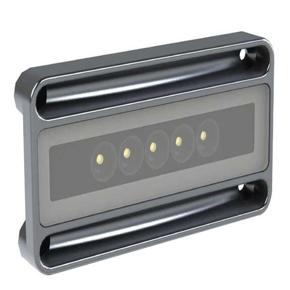 Nevis2 - Engine Room & Ultility Light, Brushed Finish, White & Blue, CRI 70-75, CCT 5000, 10-30vDC, 900mA image number 0