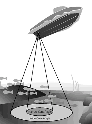  Example of the cone angles of high and low frequency pulses