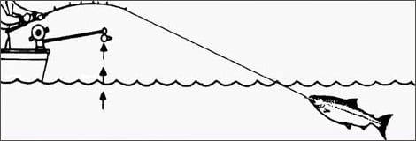 diagram showing a fish being played after the downrigger releases