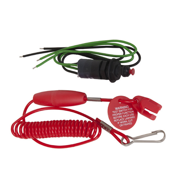 Lanyard assembly with separate dashboard kill switch