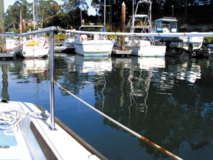 lifelines on a boat showing rust on the vinyl coating