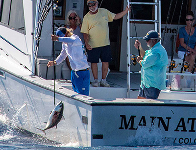 Angler pulling gaffed fish out of water