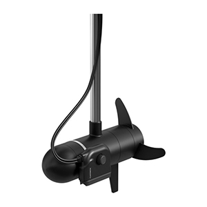 Transducer mounted on a trolling motor