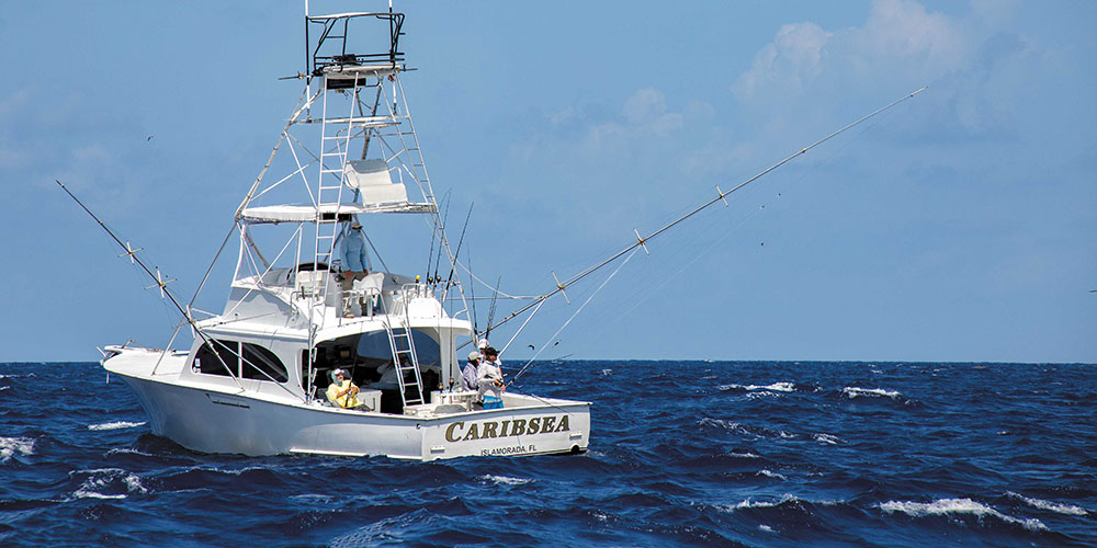 Boat trolling offshore