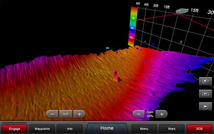 Garmin Panoptix RealVu 3D Historical sonar view showing full water column from bottom to surface with fish visible