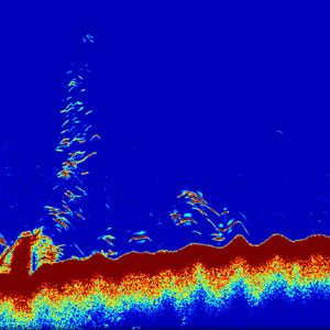 Example of the output from a CHIRP sonar transducer