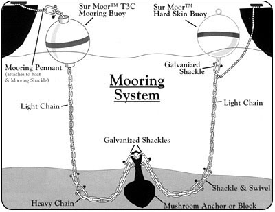 Two styles of Taylor mooring buoys