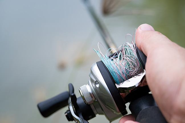 photo of a baitcasting reel backlash