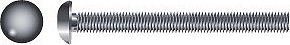 carriage bolt